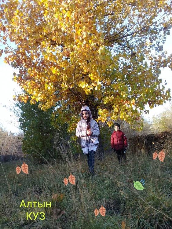 Күз келді
