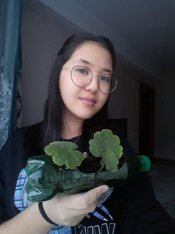 Пластик бөтелкеге екінші өмір