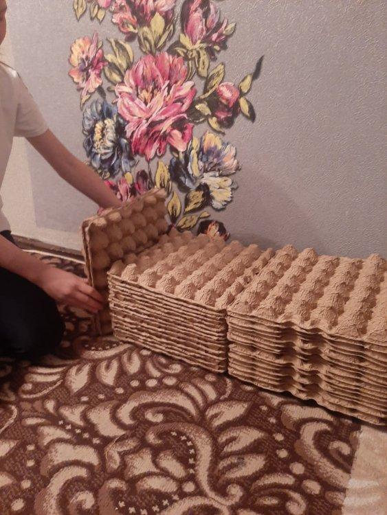 Поделки из лотков от яиц.