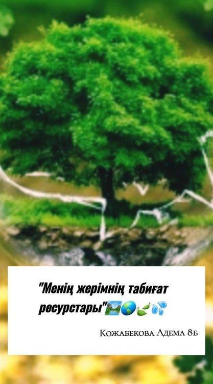 "Менің жерімнің табиғат ресурстары" атты шағын жобасы