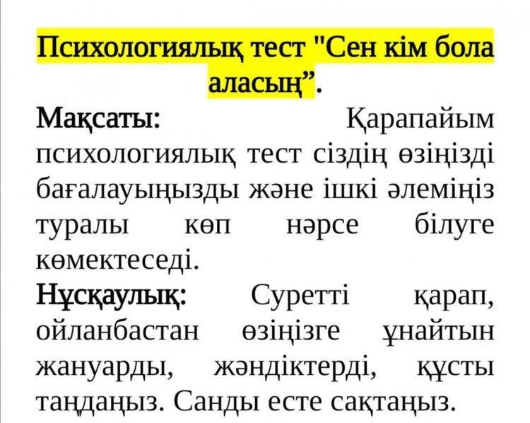 5 сынып оқушыларына өзін-өзі бағалауын анықтау мақсатында "Сен кім бола аласың" атты диагностика жүргізілді.