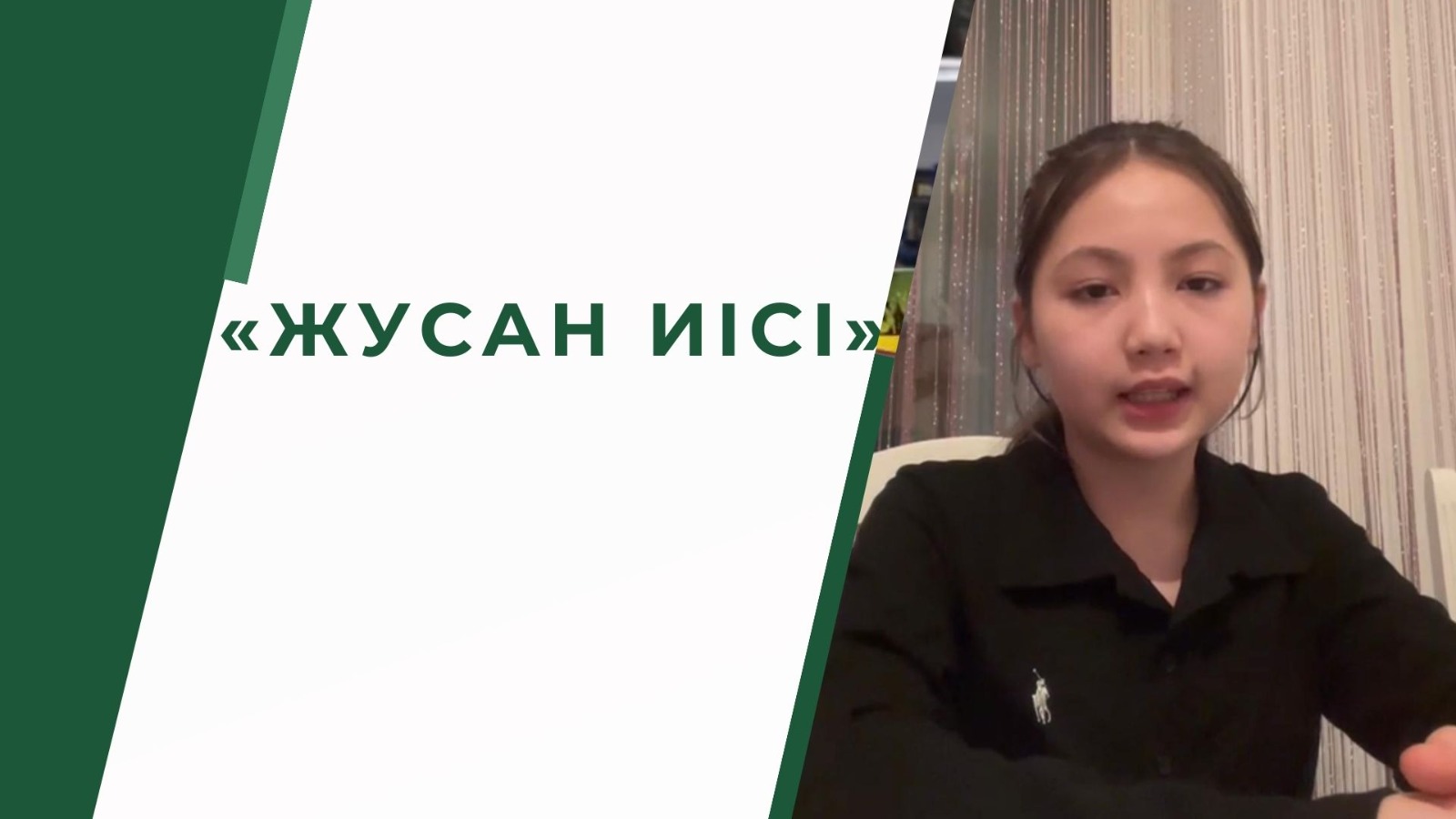 "Жусан иісі" кітабын оқыған "3 ЖОББМ"КММ нің 6"в" сынып оқушысы Жұмаш Айару бейнебаяны.