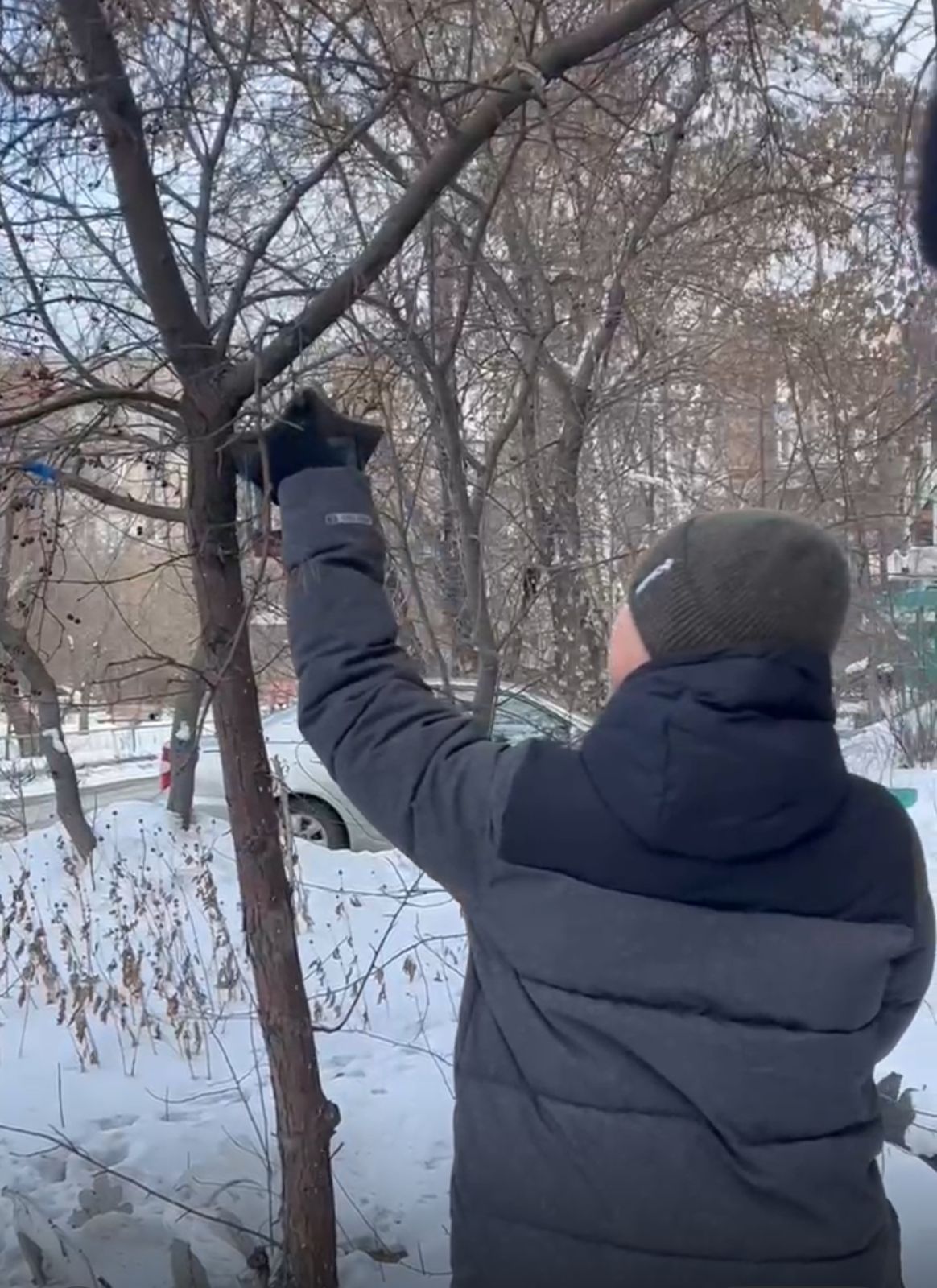 13.02.2025 күні Қамқорлық фракциясының ұйымдастыруымен “Құстарға жем салу” акциясы өтті
