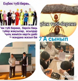 «Еңбек түбі – береке» тақырыбында тәрбие сағаттары өткізілді.
